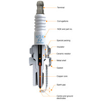 Spark Plugs